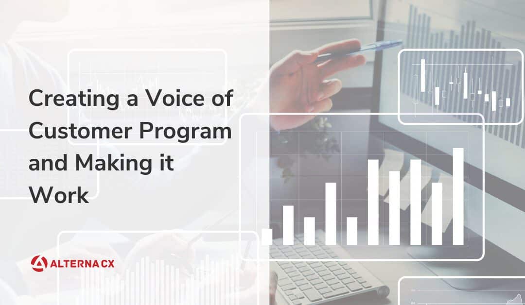 Creating a Voice of Customer Program