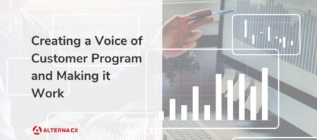 Creating a Voice of Customer Program