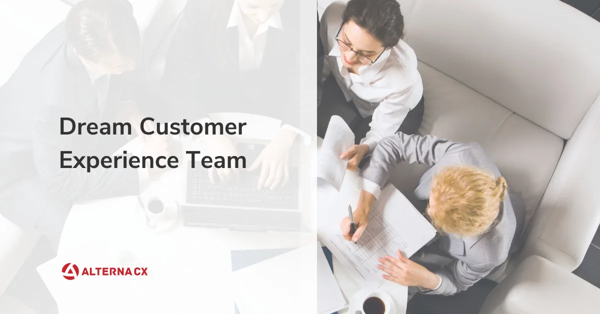 customer experience team