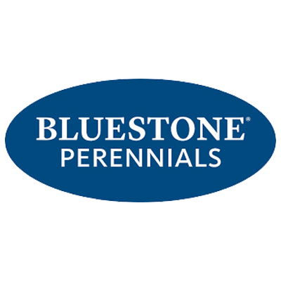 Bluestone Perennials