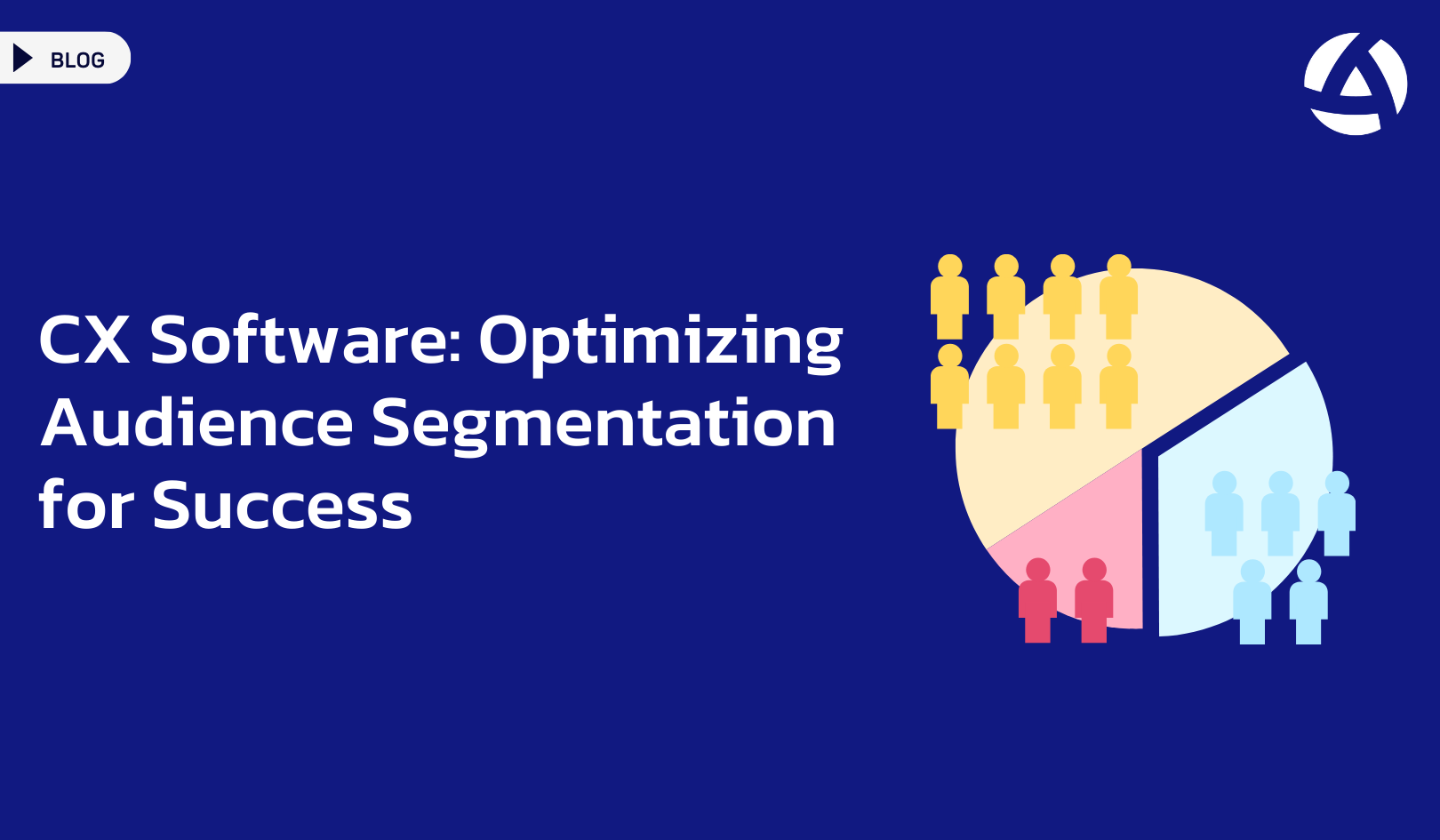 CX Software: Optimizing Audience Segmentation for Success