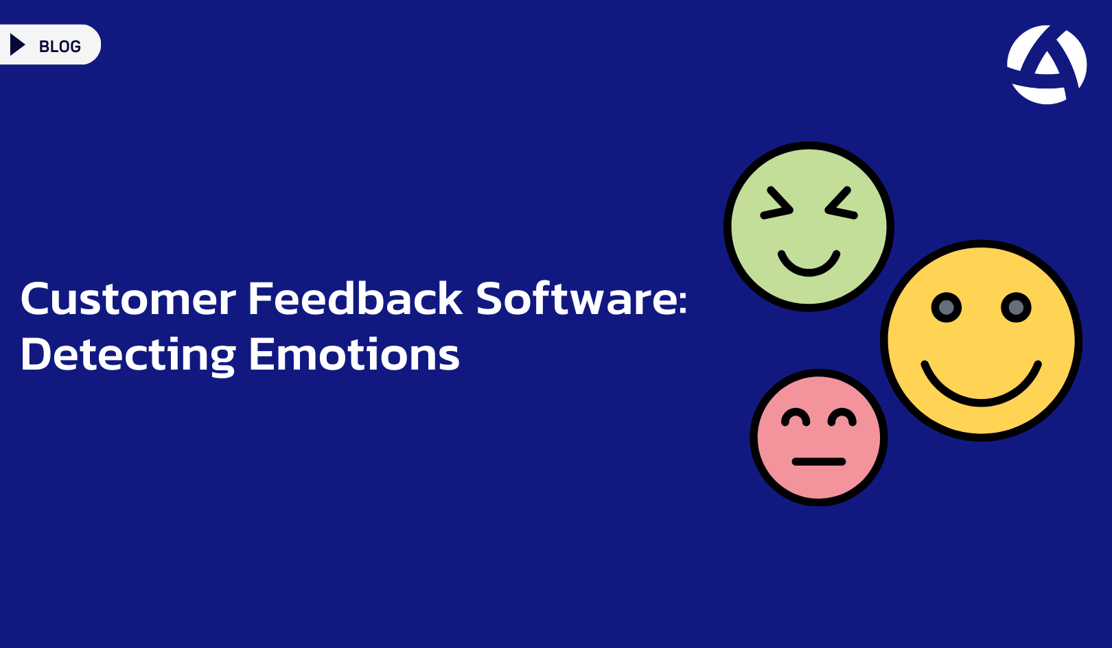 Customer Feedback Software: Detecting Emotions